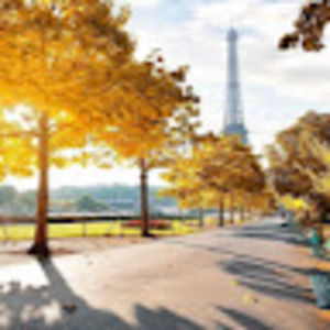 Meet your Posher, Janice